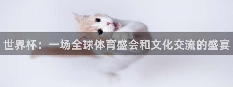 欧洲区世界杯预选赛：世界杯：一场全球体育盛会和文化交流的盛宴