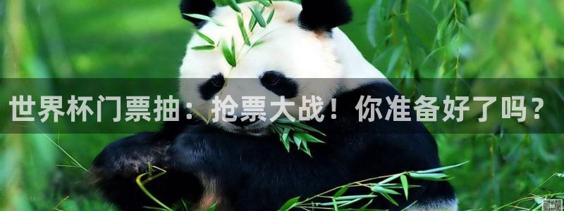 2026世亚预赛赛程表：世界杯门票抽：抢票大战！你准备好了吗？