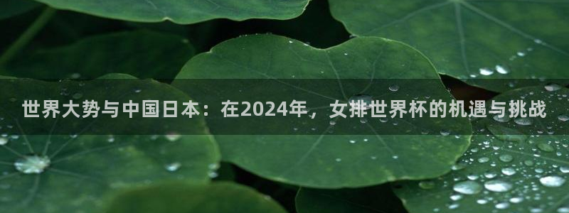 世界杯直播时间：世界大势与中国日本：在2024年，女排世界杯的机遇与挑战