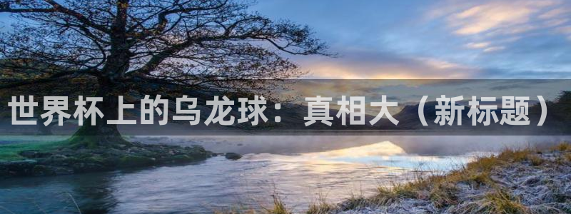 世界杯转播表：世界杯上的乌龙球：真相大（新标题）