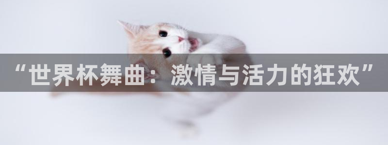 看世界杯：“世界杯舞曲：激情与活力的狂欢”