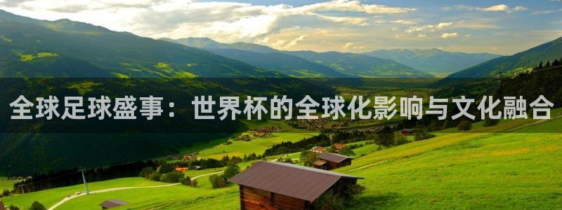 世界杯足球：全球足球盛事：世界杯的全球化影响与文化融合