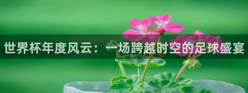 2026世界杯小组赛赛程时间表：世界杯年度风云：一场跨越时空的足球盛宴