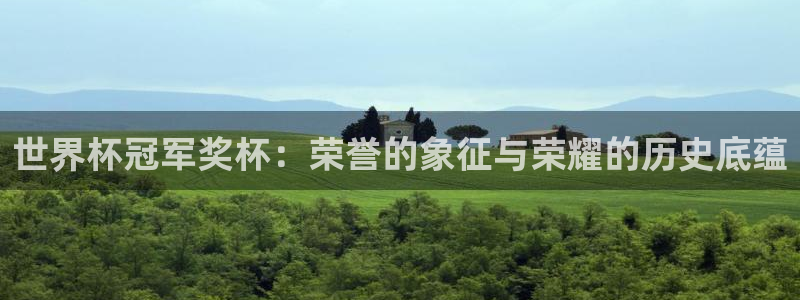 2026世界杯官网：世界杯冠军奖杯：荣誉的象征与荣耀的历史底蕴
