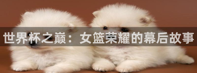 男足世界杯预选赛赛程：世界杯之巅：女篮荣耀的幕后故事